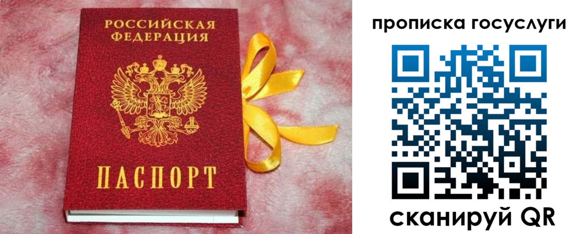 прописка законно в Североморске